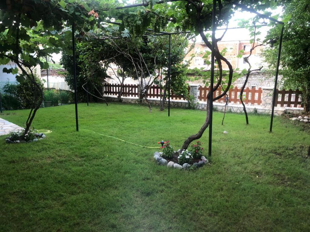 Vila Culli Përmet المظهر الخارجي الصورة